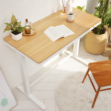 Load image into Gallery viewer, Single Electric Motor 1.2m Sit and Stand Desk
