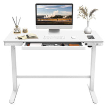 Load image into Gallery viewer, Single Electric Motor 1.2m Sit and Stand Desk