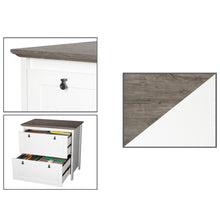 Load image into Gallery viewer, Broweville 2 Drawer Filing Cabinet
