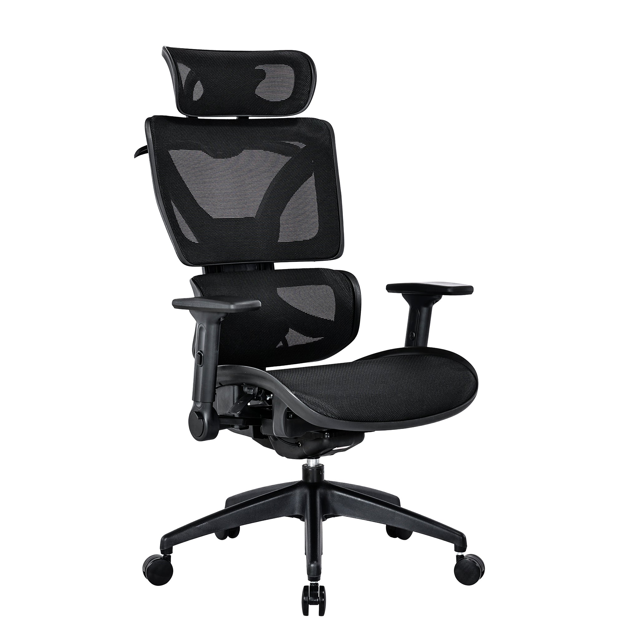 RISCHE Ergonomic Flipped Armrest Full Adjustable Mesh Executive Chair ...