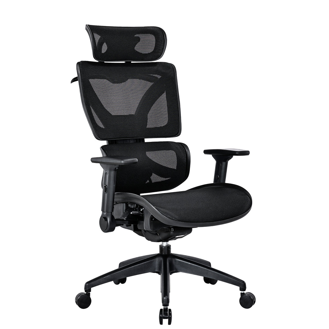 RISCHE Ergonomic Flipped Armrest Full Adjustable Mesh Executive Chair